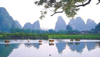广西风景图片,山水画卷中的多彩画卷