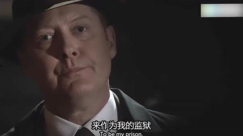 黑名单第四季在线观看,揭秘暗网风云，追踪网络犯罪黑手