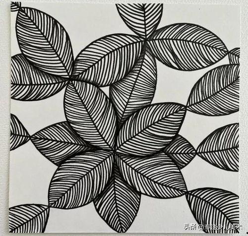 线描画图片大全简单,探索线描画图片大全的无限魅力