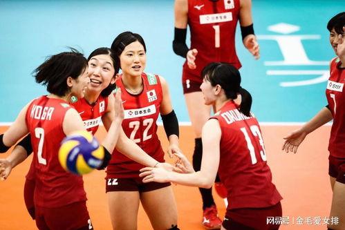 日本女排名单图片,实力派选手齐聚，备战国际赛场
