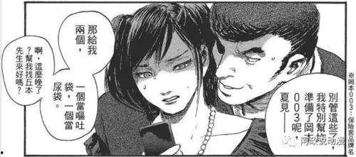 纯洁的托付日本BD,日本版BD深度解析