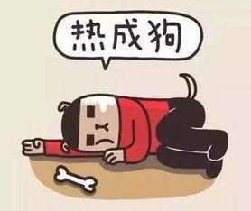 天热降温图片大全,清凉一“图”解