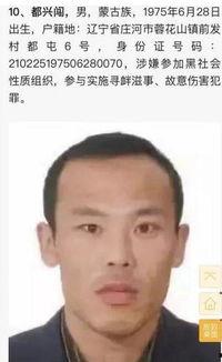 辽宁通缉犯图片大全,揭秘犯罪分子真容
