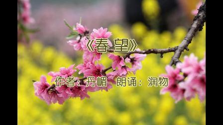 春望视频,穿越时空的视觉盛宴