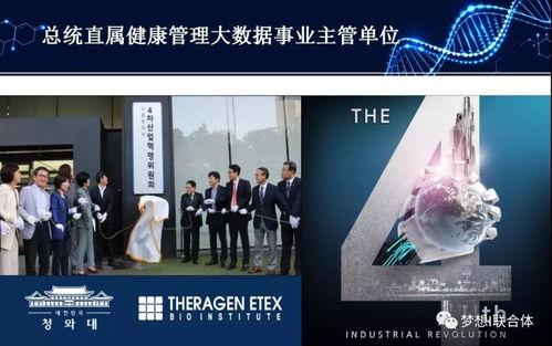 韩国基因,探寻民族特色与时代变迁