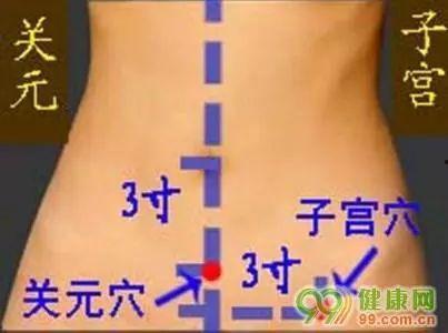 下腹部位置图片,下腹部解剖结构图解概述