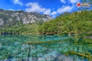 九寨沟的视频,自然奇观与人间仙境的完美融合
