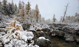 冬日的图片大全,银装素裹，尽享冰封雪飘时光