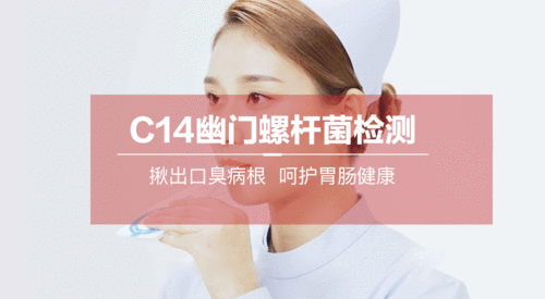 日本爱爱免费,背后的社会与文化因素
