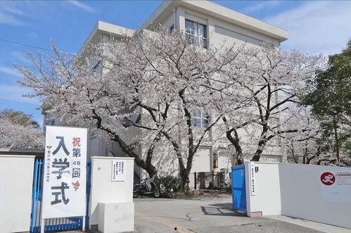 日本 校园 中国,中日校园文化差异探析
