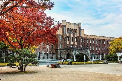 日本 校园 中国,中日校园文化差异探析