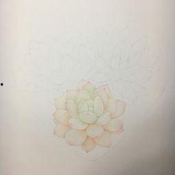 花盆上画画图片大全,创意无限的艺术画卷
