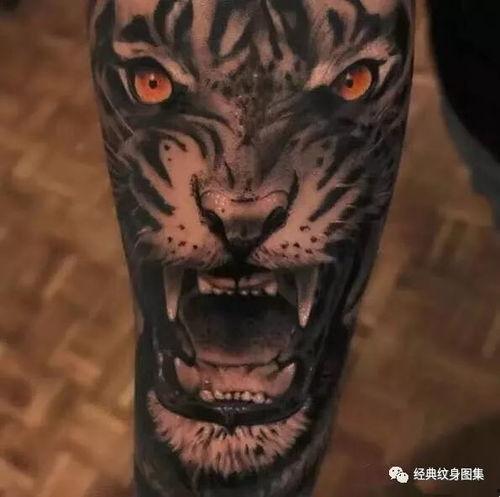 老虎刺青图片大全,威猛图腾的艺术演绎