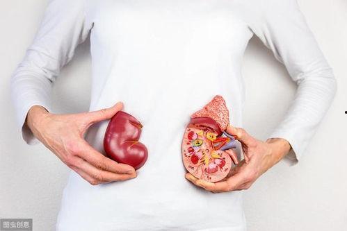 肾病综合征视频,揭秘病因、症状及治疗策略
