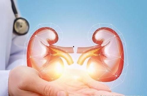 肾病综合征视频,揭秘病因、症状及治疗策略