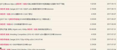 摔跤吧爸爸 国语配音,父爱如山，摔跤铸就辉煌人生