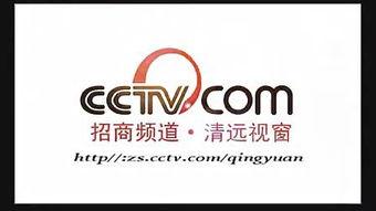 央视频道,聚焦时代脉搏，传递主流声音