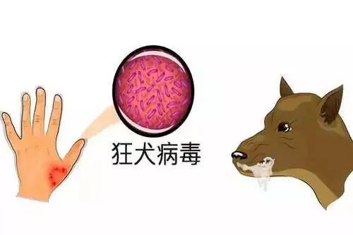 日本阴齿,传统美学与现代传承的交织