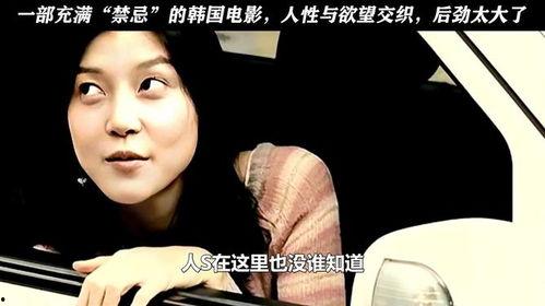 韩国的渴望,梦想与现实的交织之旅