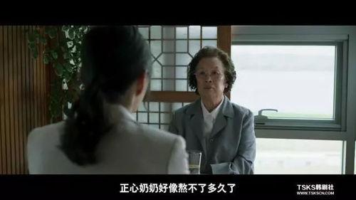韩国电影应用,探索东方影视艺术的魅力与创新