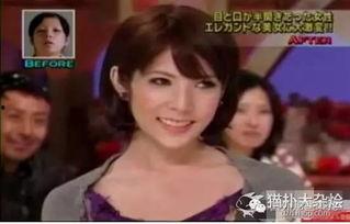 日本整明星的节目,揭秘明星幕后生活