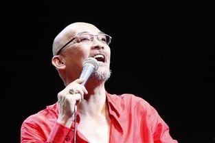 gao 日本歌手,日本流行音乐的璀璨新星