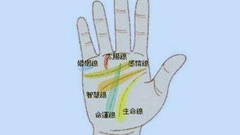 段掌图片,探寻历史与现代交融的视觉奇观