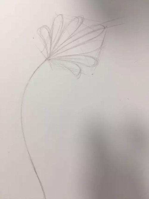 铅笔画教程视频,从入门到精通的绘画之旅