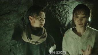 追随在线观看,畅享在线观影新体验