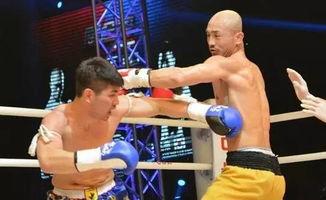 韩国搏击在中国,传统与现代的激情碰撞