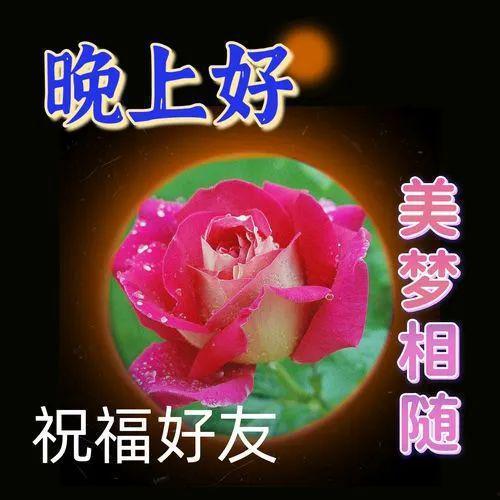 晚上好祝福图片,祝福满溢——晚间温馨祝福图鉴