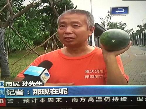 今日吃瓜热门事件