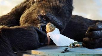 金刚的床戏,激情岁月的激情碰撞