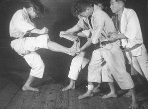 日本 拳,传统武术与现代竞技的交融之旅