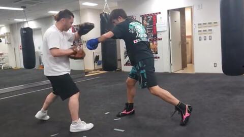 日本 拳,传统武术与现代竞技的交融之旅