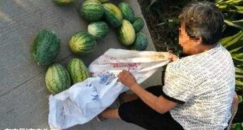 城固吃瓜最新事件爆料,揭秘背后惊人真相，网络热议持续升温