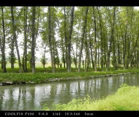 让人放松心情的图片,放松心情的视觉盛宴