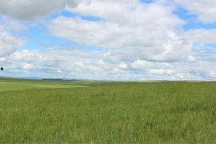 让人放松心情的图片,放松心情的视觉盛宴