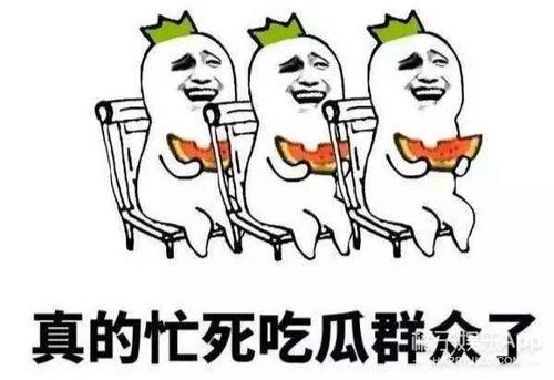 娱乐是吃瓜群众