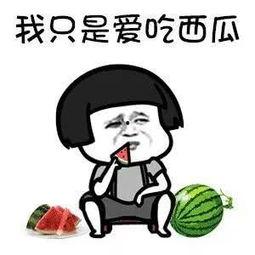 娱乐是吃瓜群众