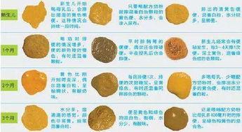 大便发白图片,原因与应对策略