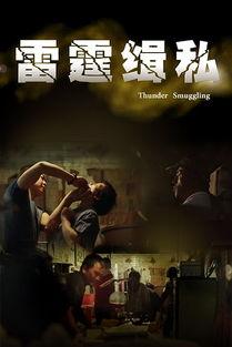 雷霆缉私在线观看,在线观看，揭秘跨国走私背后的惊心动魄