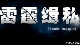雷霆缉私在线观看,在线观看，揭秘跨国走私背后的惊心动魄