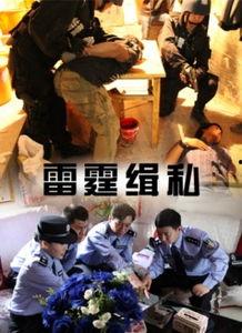 雷霆缉私在线观看,在线观看，揭秘跨国走私背后的惊心动魄