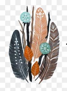 羽毛画图片,捕捉自然之美，展现匠心独运